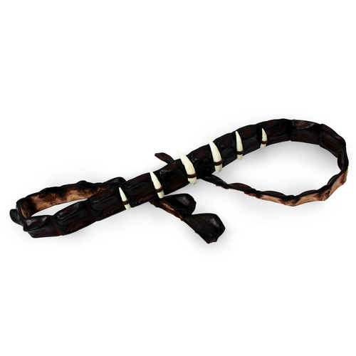 CROCODILE, HAT BAND TOOTHED